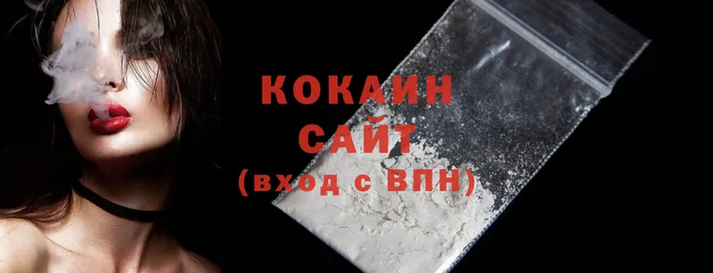 Cocaine Fish Scale  где купить   Новое Девяткино 